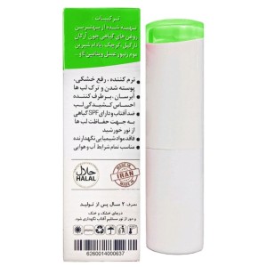 بالم لب نیکا