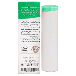 بالم لب نیکا