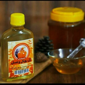 شامپو عسل و ژل رویال طهور (250 گرم)
