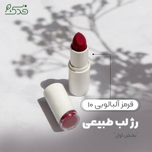 رژلب رولی نیکا (قرمز آلبالویی کد 10)