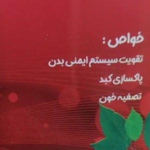 پوره تمر آلبالو غدیر (480 گرم)