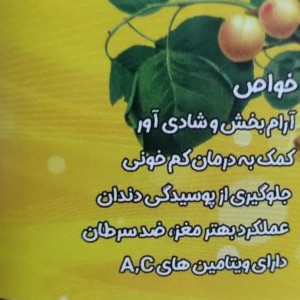 پوره زردآلو غدیر (480 گرم)