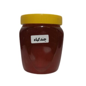 عسل طبیعی چندگیاه (1 کیلوگرم)