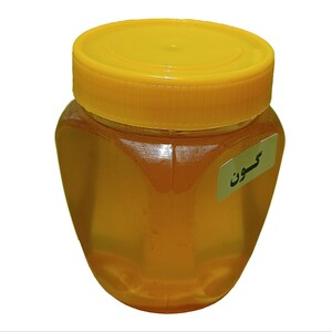 عسل طبیعی گون (1 کیلوگرم)
