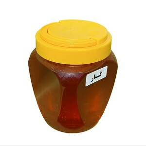 عسل کنار (1 کیلوگرم)
