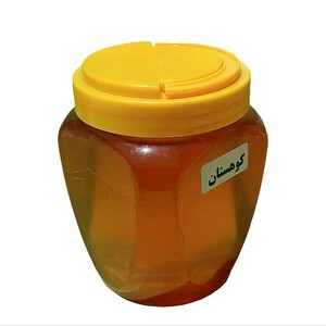 عسل کوهستان (500 گرم)