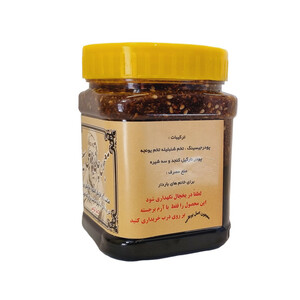 معجون چاقی بوعلی سینا (500 گرم)