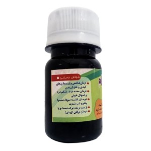 مرکب یک ابن بسطام غدیر
