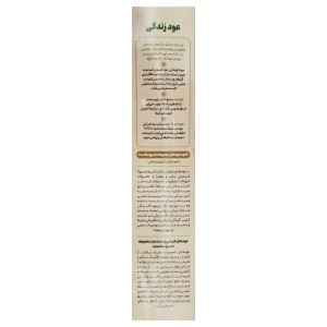 عود زندگی صبح سلامت (5 شاخه)