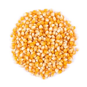 ذرت پاپ کورن (600 گرم)