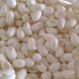 پیله ابریشم حیات طیبه (20 عددی)