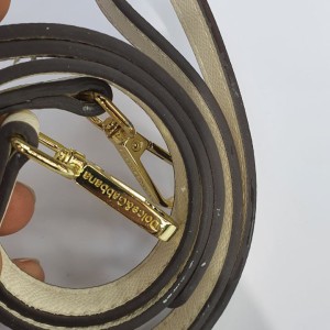 کیف دولچه گابانا مدل مجلسی