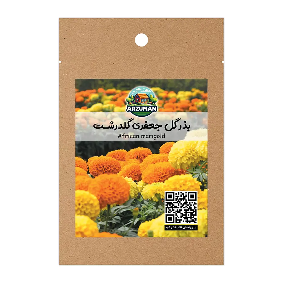 بذر گل جعفری گل درشت پاکوتاه آرزومان