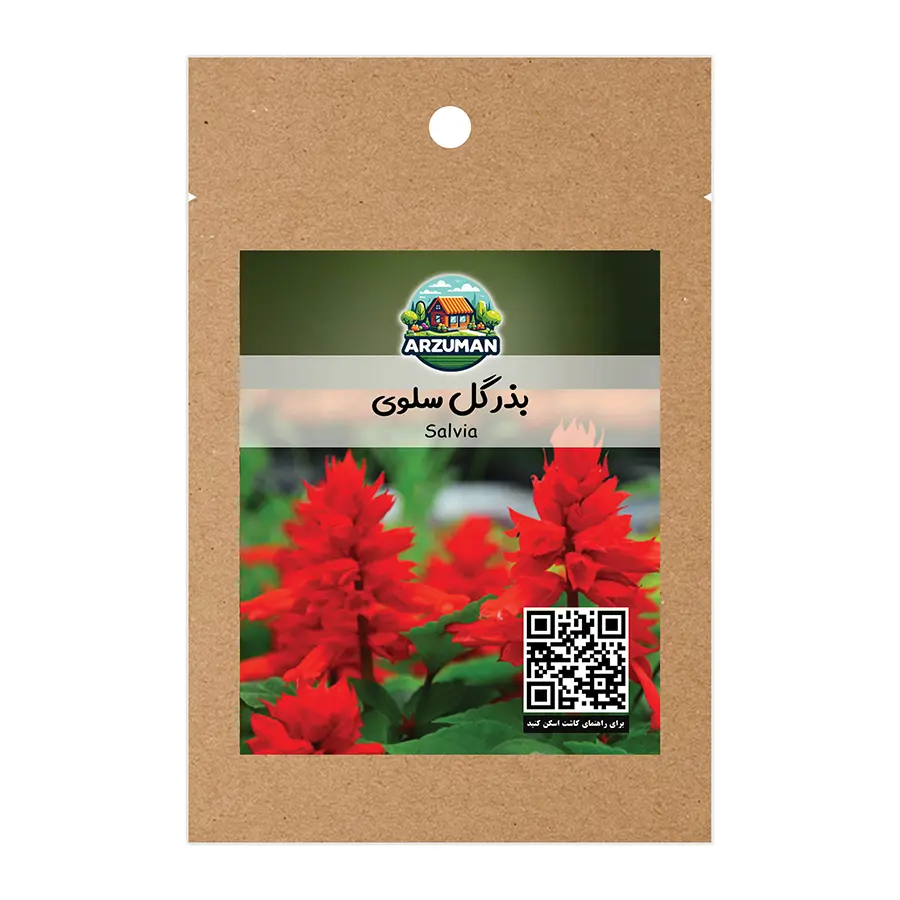 بذر گل سلوی (مریم گلی زینتی) اسکارلت قرمز آرزومان