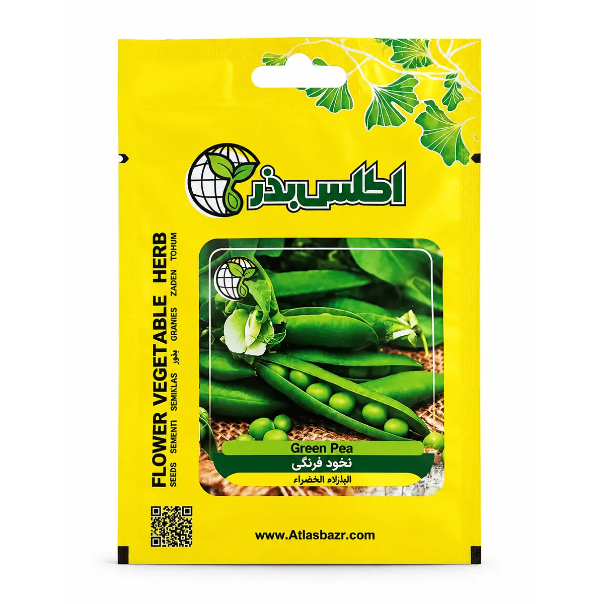بذر نخود فرنگی بوته ای مناسب گلدان و باغچه