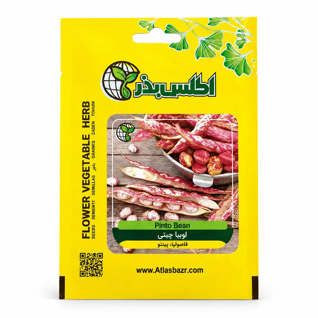 بذر لوبیا چیتی درشت ممتاز