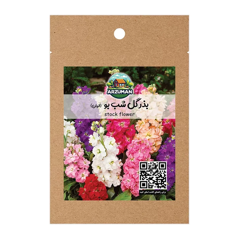 بذر گل شب بو پابلند معطر آرزومان (پادشاه گیاهان معطر)