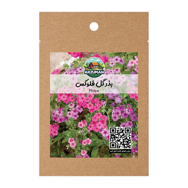 بذر گل فلوکس پاکوتاه الوان آرزومان گلدهی پر تراکم