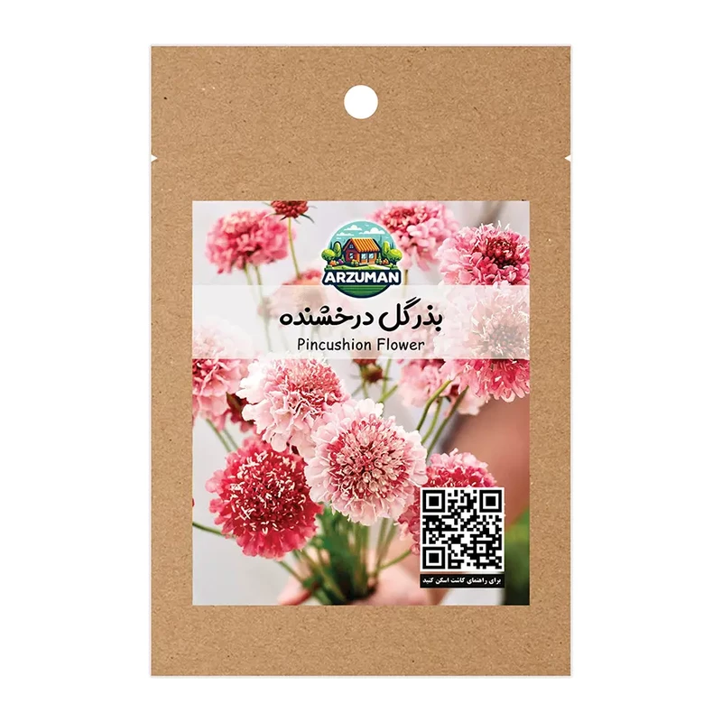 بذر گل درخشنده پامتوسط الوان آرزومان (اسکابیوسا)
