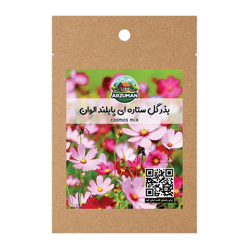 بذر گل ستاره ای پابلند آرزومان رنگارنگ