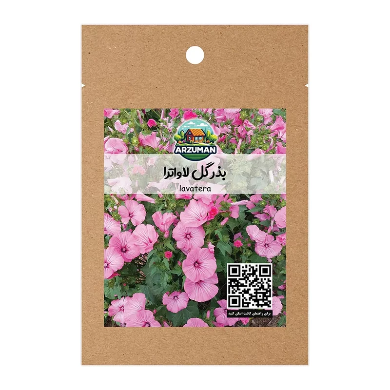 بذر گل لاواترا (ختمی سه ماهه) آرزومان با گلدهی طولانی