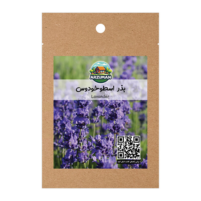 بذر گیاه دارویی اسطوخودوس (لاوندر) معطر آرزومان