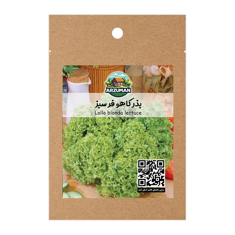 بذر کاهو فر سبز (لولو بیوندا) آرزومان