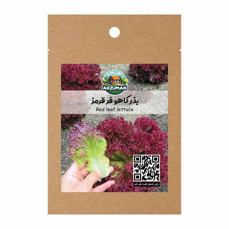 بذر کاهو فر قرمز (لولو روزا) آرزومان