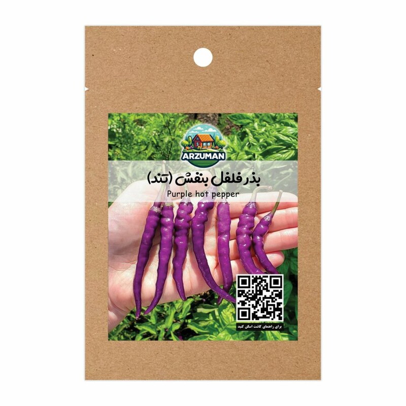 بذر فلفل بنفش تند آرزومان