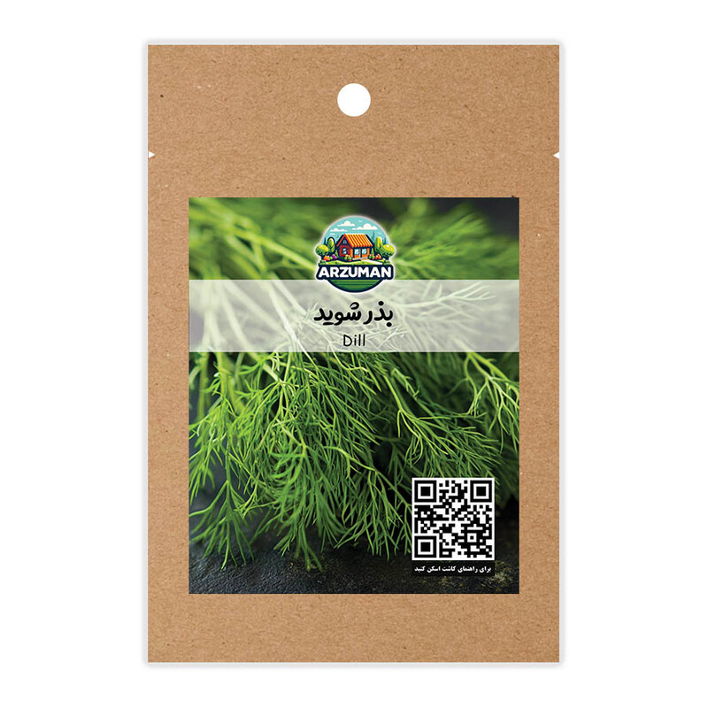 بذر سبزی شوید معطر و پربار آرزومان
