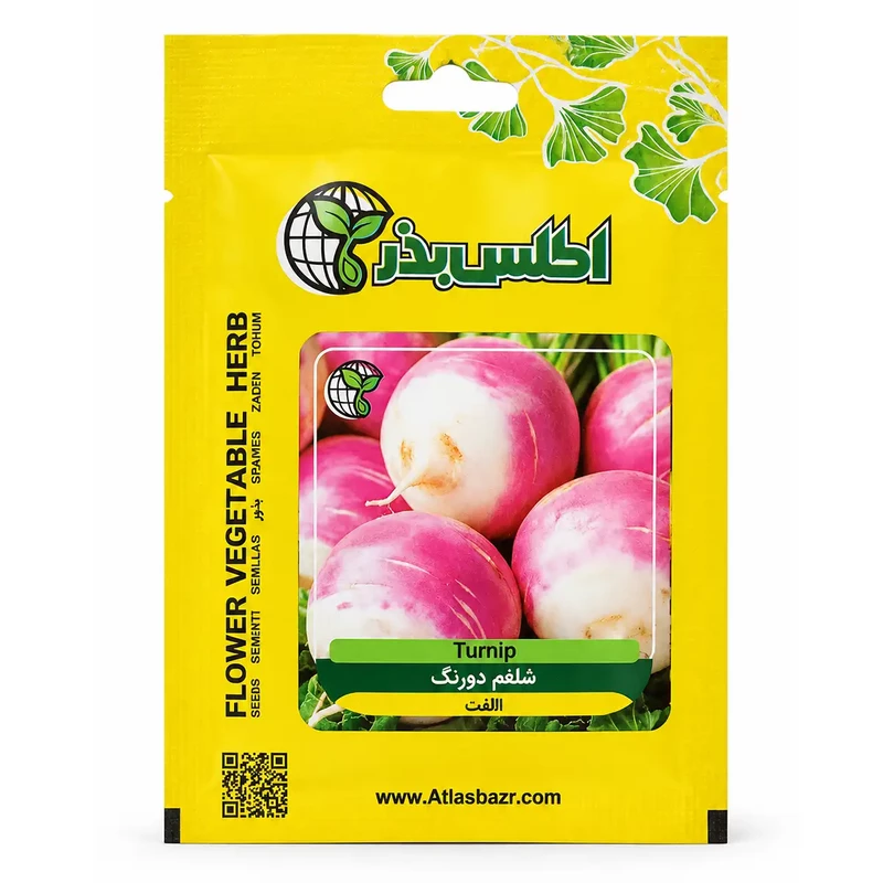 بذر شلغم دو رنگ