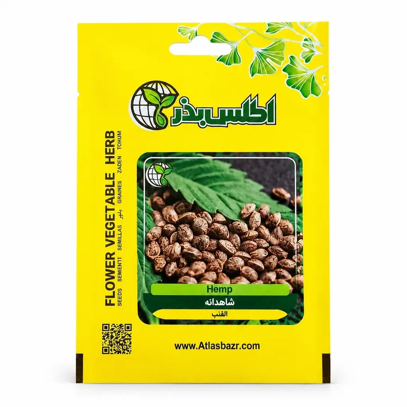بذر شاهدانه خوراکی