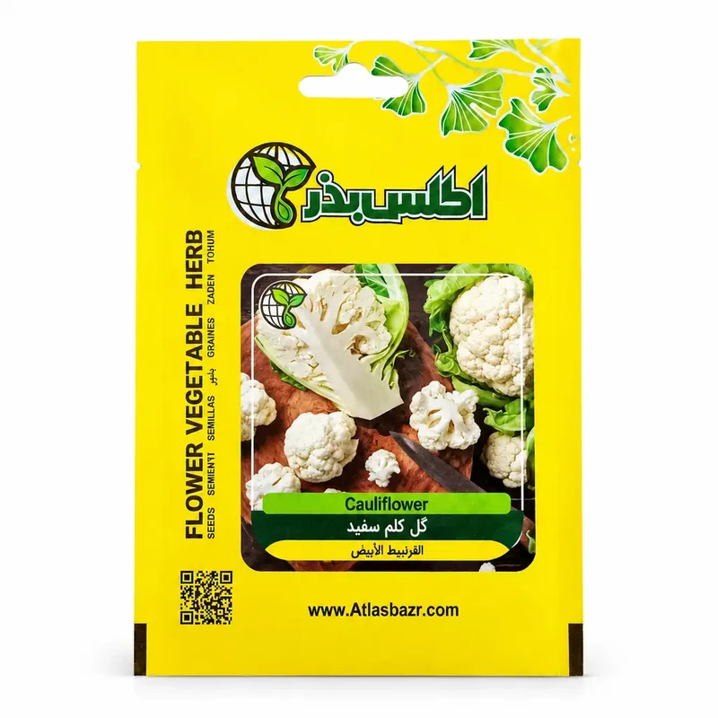 بذر گل کلم سفید زودرس