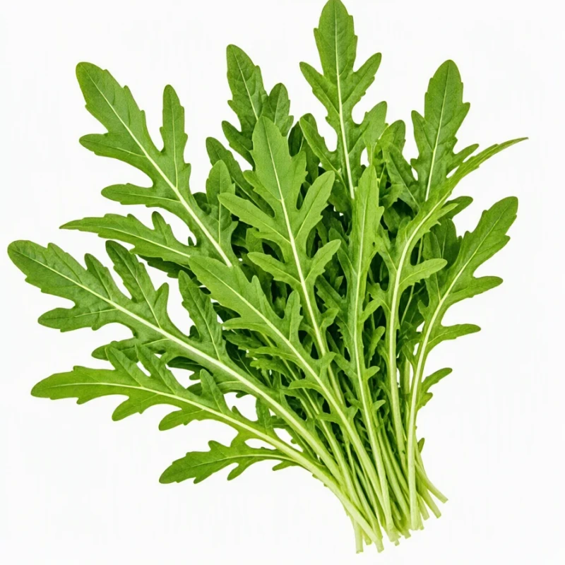 بذر روکولا سلواتیکا  Selvatica Rucola (Wild Arugula) پاکت 25 گرمی