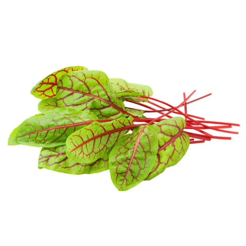 بذر سبزی سورل قرمز (Red Veined Sorrel) پاکت 2000 عددی
