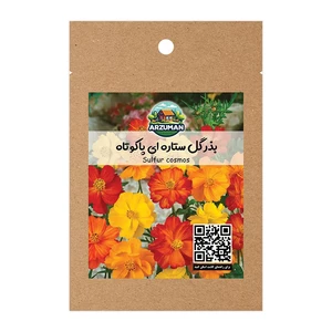 بذر گل ستاره ای پاکوتاه با گلدهی سریع