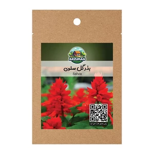 بذر گل سلوی (مریم گلی زینتی) اسکارلت قرمز آرزومان