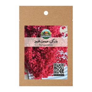 بذر گل عروس قرمز (جیپسوفیلا) هلندی آرزومان