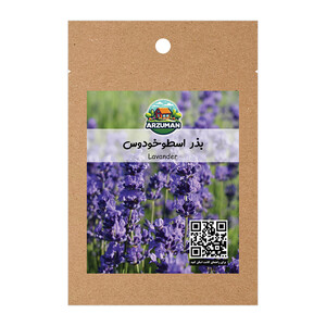 بذر گیاه دارویی اسطوخودوس (لاوندر) معطر آرزومان