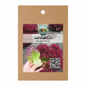 بذر کاهو فر قرمز (لولو روزا) آرزومان
