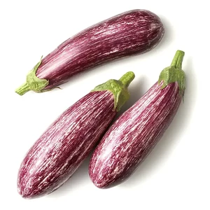 بادمجان قلمی دو رنگ