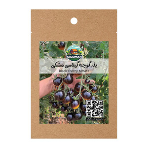 بذر گوجه فرنگی گیلاسی مشکی (ایندیگو) آرزومان