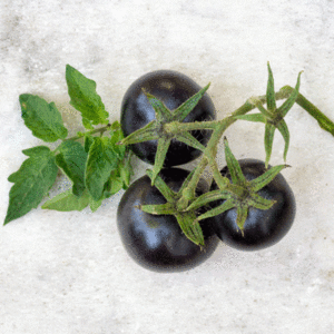 بذر گوجه گیلاسی مشکی