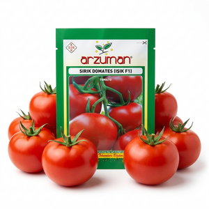 بذر گوجه فرنگی گلخانه ای