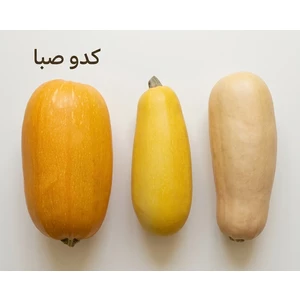 بذر کدو آجیلی صبا