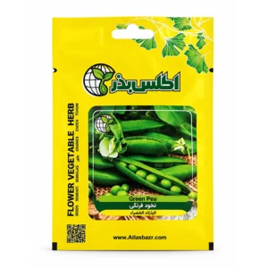 بذر نخود فرنگی بوته ای مناسب گلدان و باغچه