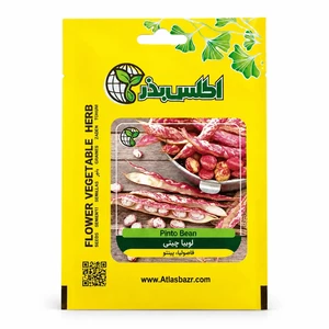 بذر لوبیا چیتی درشت ممتاز