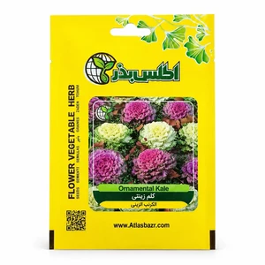 بذر کلم زینتی الوان