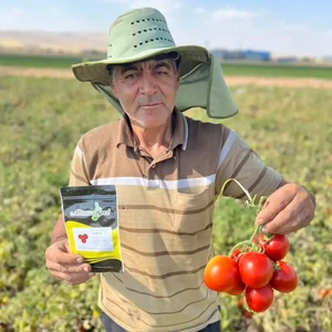 بذر گوجه آدرینا