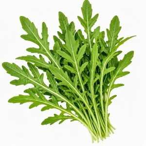 بذر روکولا سلواتیکا  Selvatica Rucola (Wild Arugula) پاکت 25 گرمی